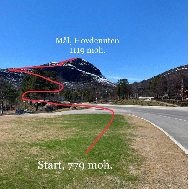 Hovdenuten opp 