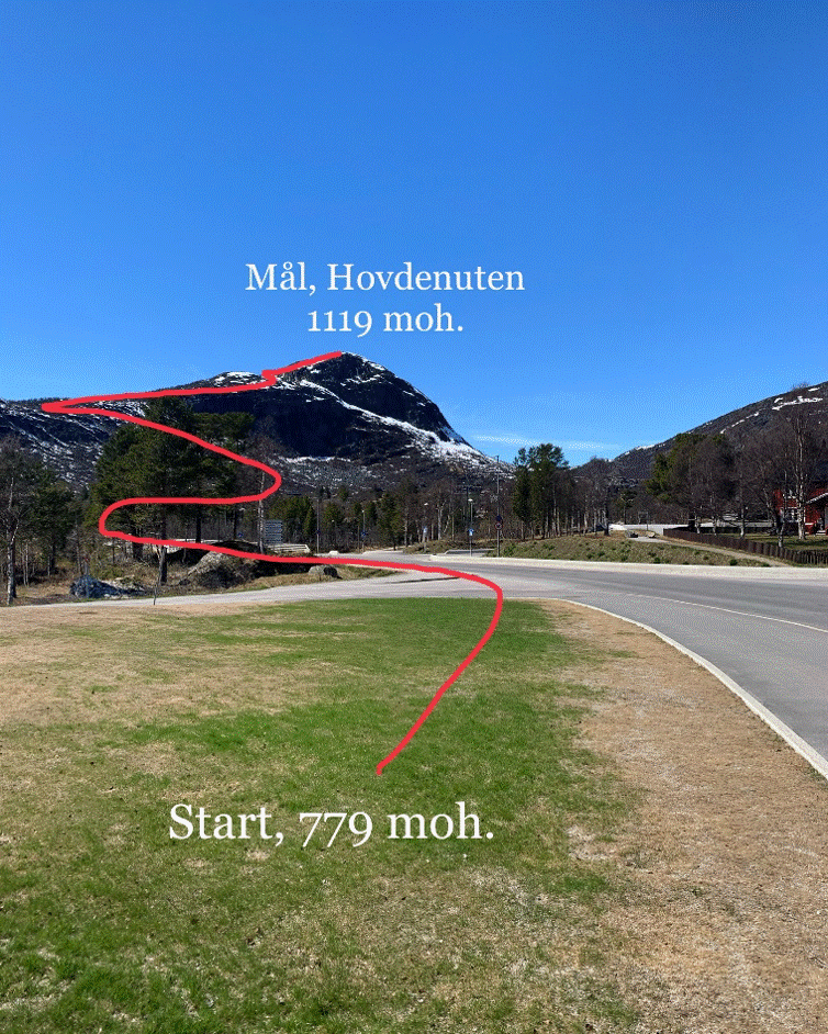hovdenuten-opp